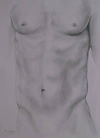 Male Torso