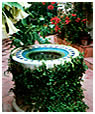 Wishing Well